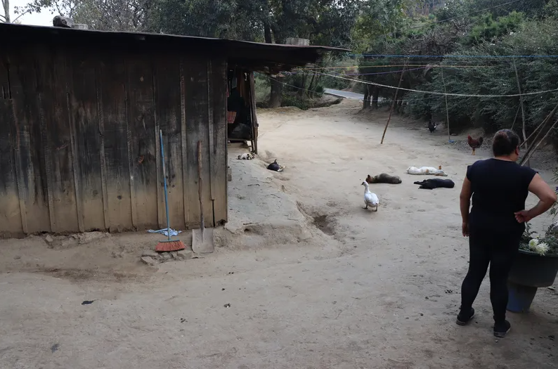  Foto: Frauke Decoodt 